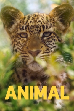 Watch Animal free online