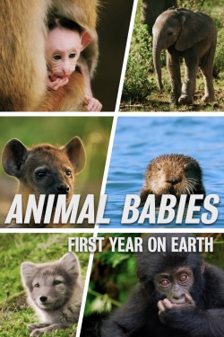 Watch Animal Babies: First Year On Earth free online