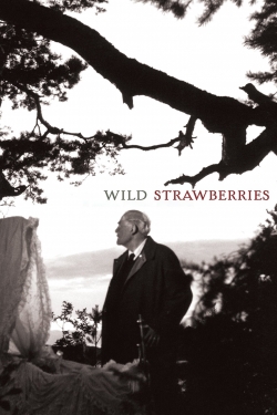 Watch Wild Strawberries free online