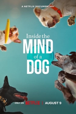 Watch Inside the Mind of a Dog free online