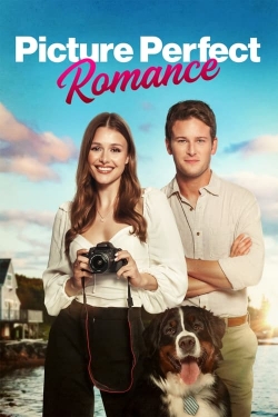 Watch Picture Perfect Romance free online