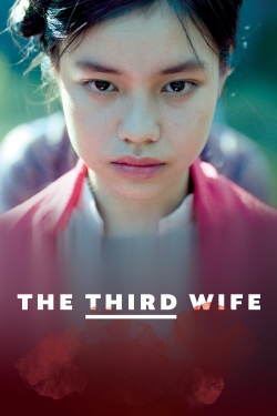 Watch The Third Wife free online