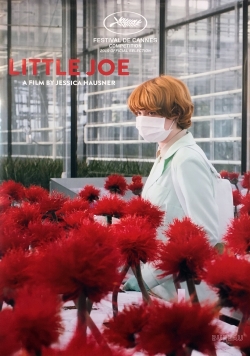 Watch Little Joe free online