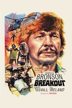 Watch Breakout free online