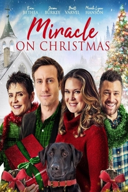 Watch Miracle on Christmas free online