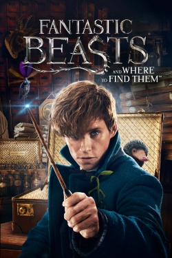 Watch Fantastic Beasts and Where to Find Them free online