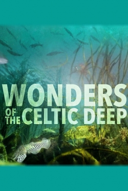 Watch Wonders of the Celtic Deep free online